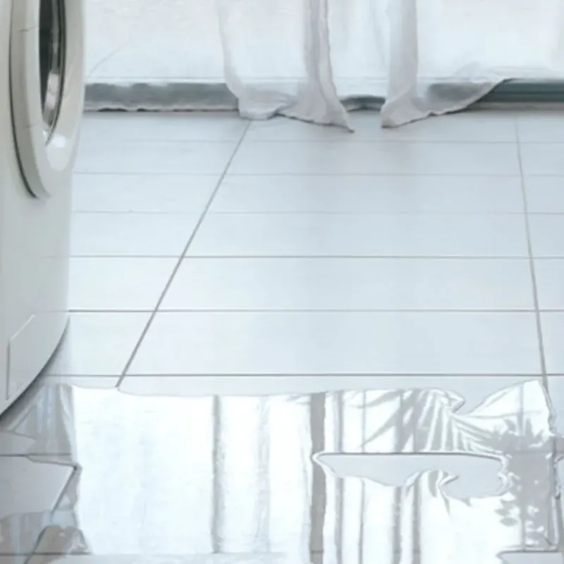 Appliance Leak Cleanup in Taylor Creek, FL