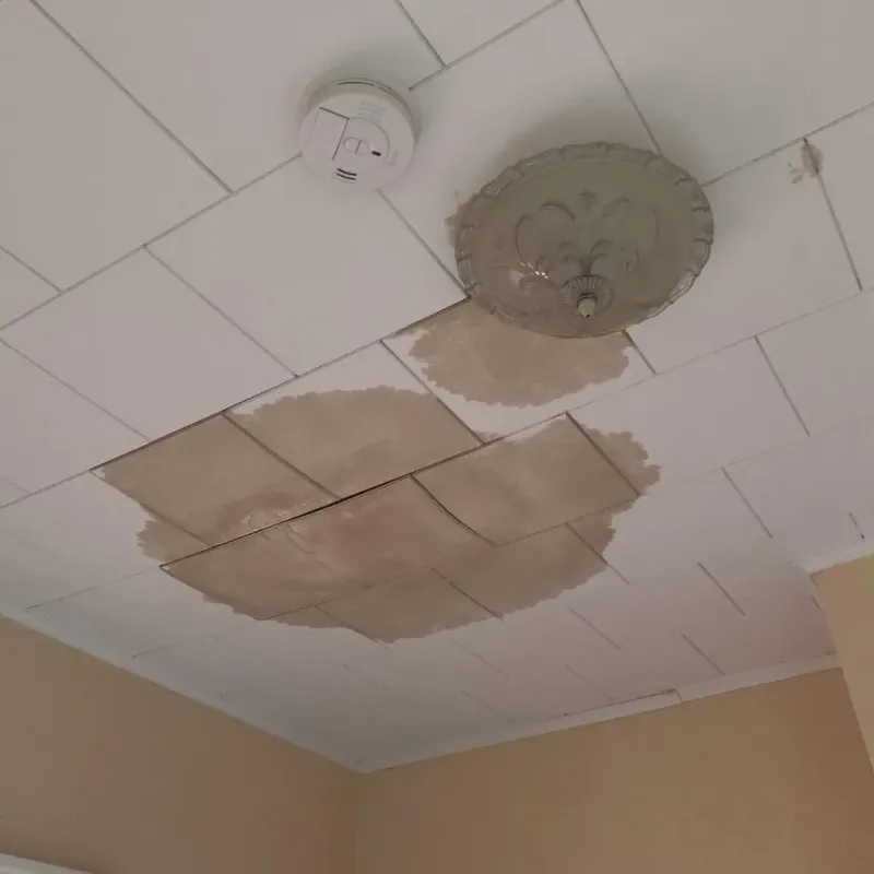 Ceiling Water Damage Repair in Taylor Creek, FL